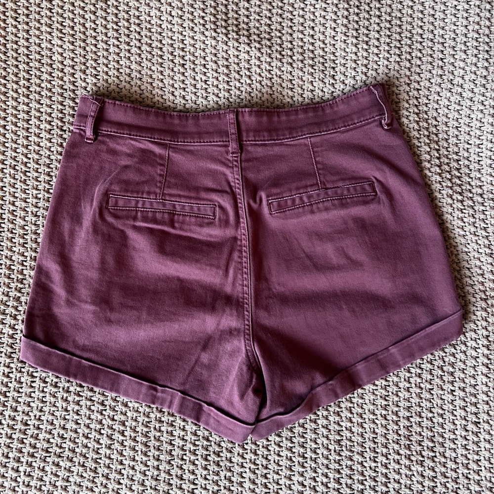 Express Shorts - Picture 2 of 3